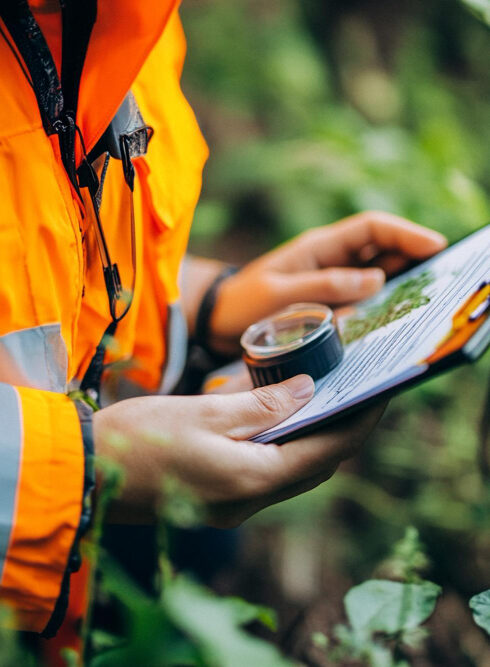 Environmental Audits