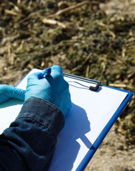 Environmental Audits2