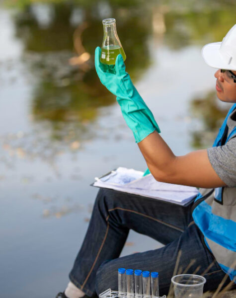 Environmental Audits3