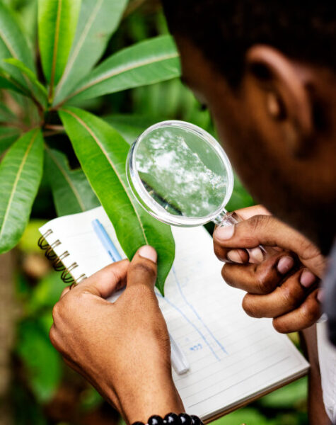Environmental Impact Assessment