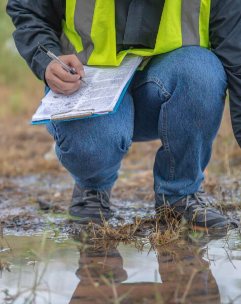 Environmental Impact Assessment3